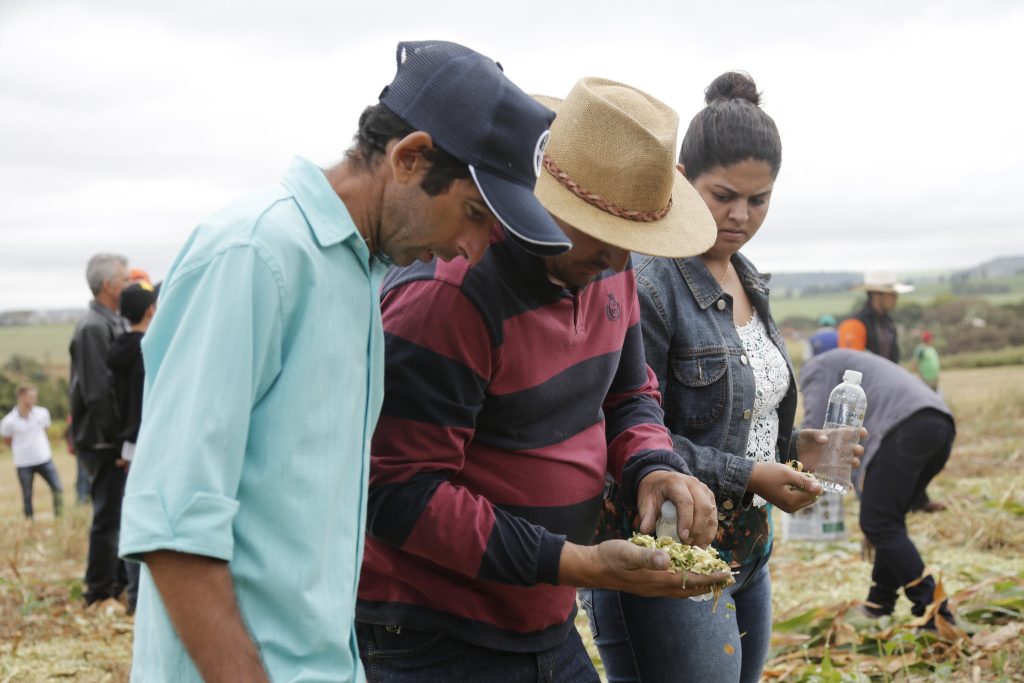 Soluções para o pequeno produtor e agricultura familiar
