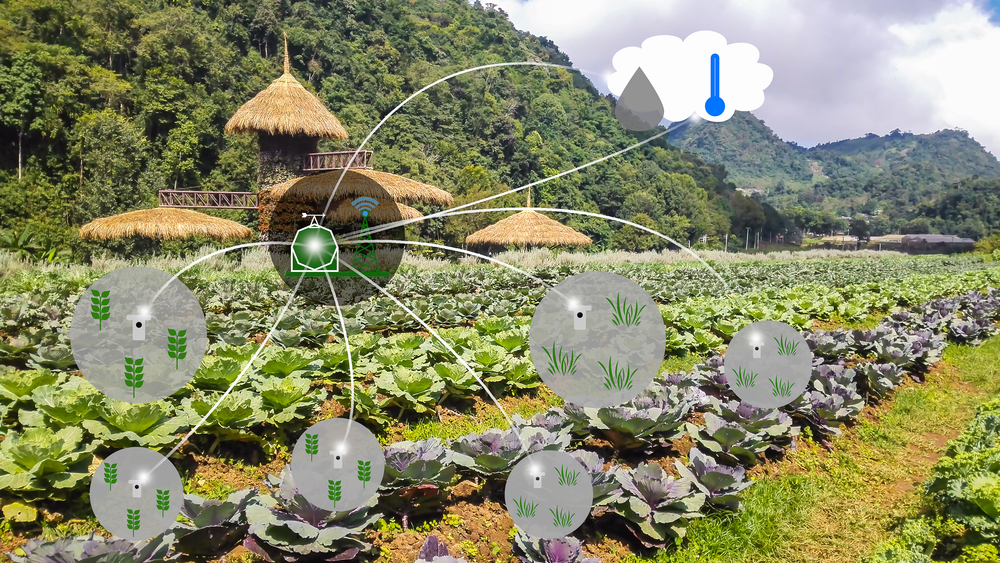 Agricultura 4.0: entenda o conceito de right data, considerado até mais importante que o Big Data