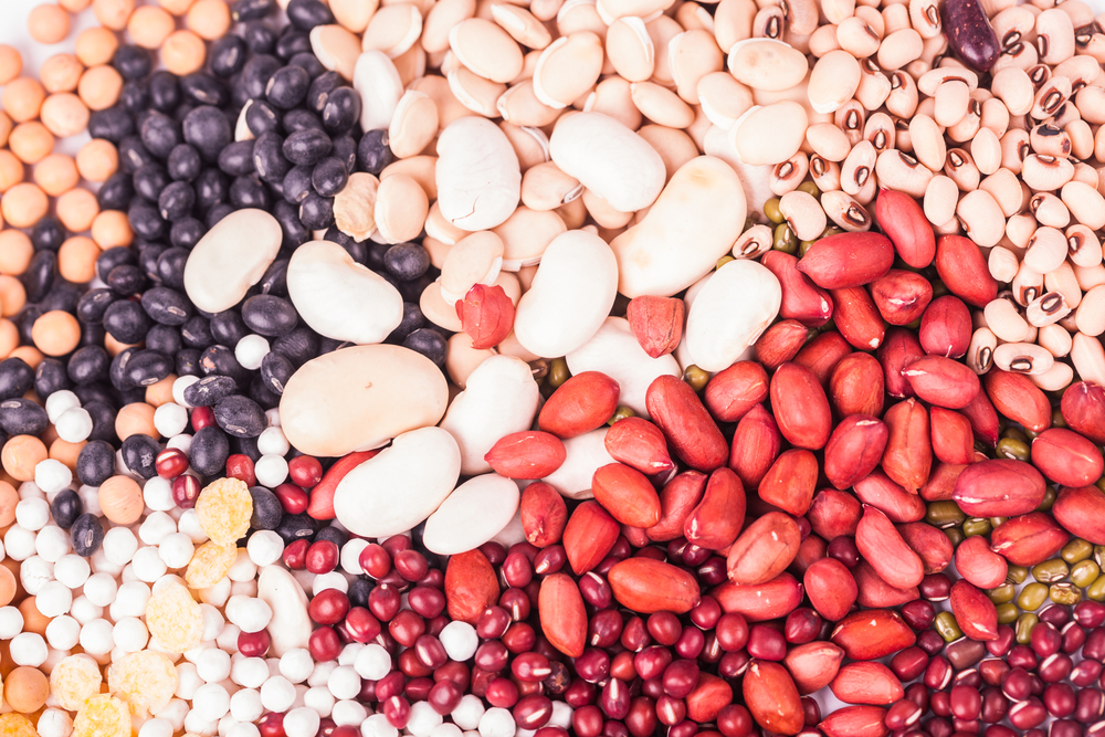 Novos cultivares e híbridos da IAC são mais rápidos, resistentes e têm baixo custo