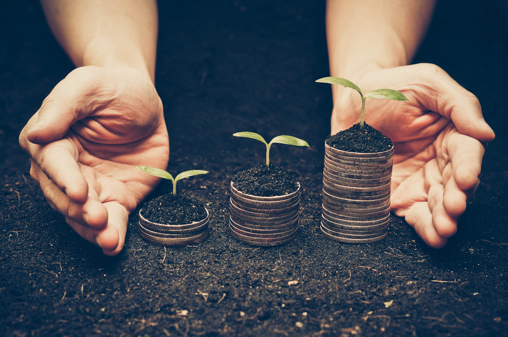 Saiba como conseguir financiamento para se tornar uma agroindústria