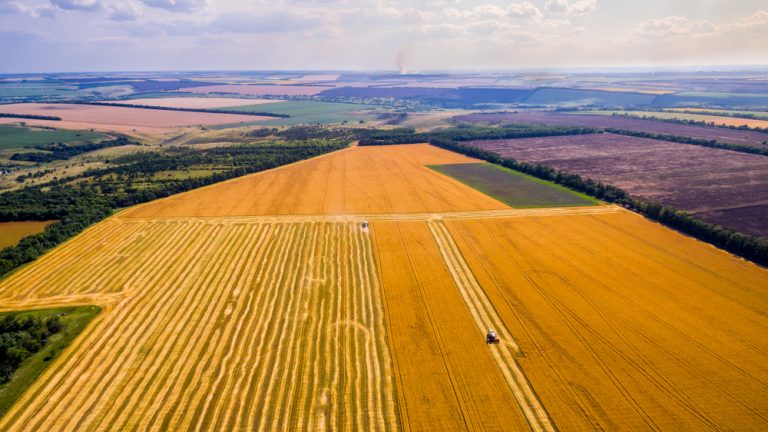 agrishow-agronegócio