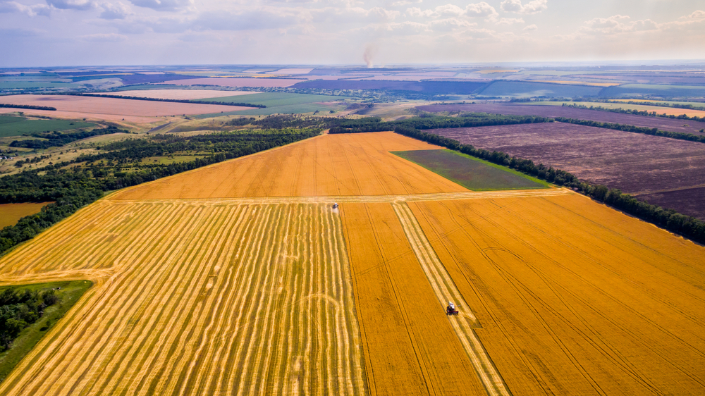 Agronegócio é o Brasil que dá certo