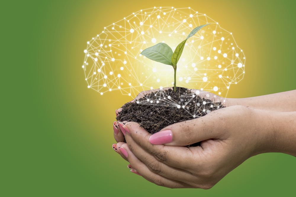 Inteligência artificial detecta padrões que escapam ao olho humano para melhorar o rendimento no campo