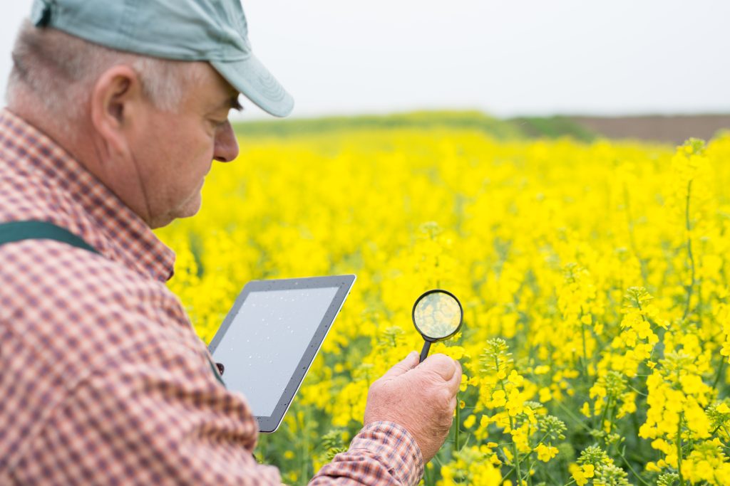 Qual o futuro do monitoramento de pragas?