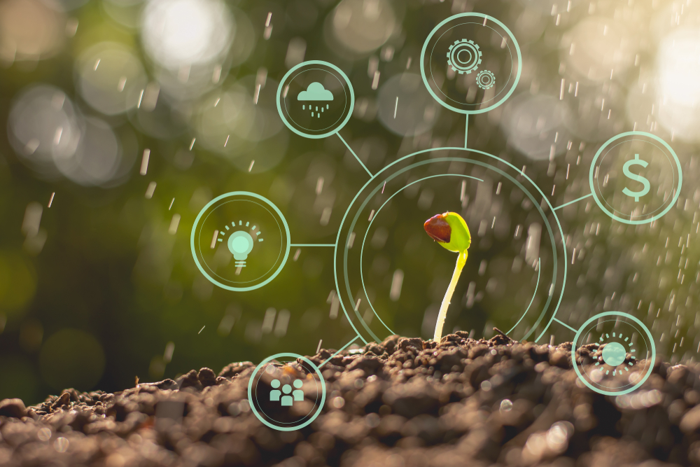 Startups para agronegócio no Brasil: desafios e oportunidades