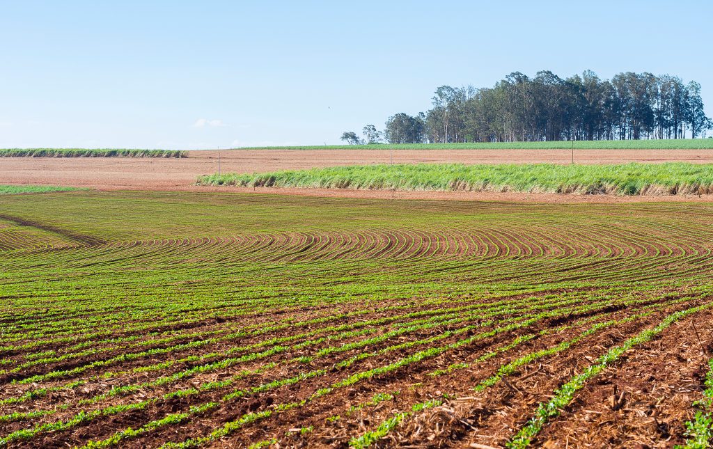 Todo tipo de território aceita sistemas de rotação de culturas?