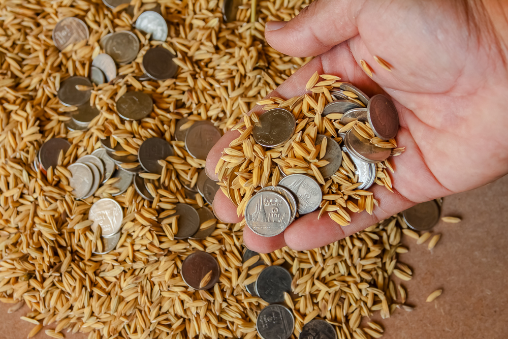 Entenda os desafios brasileiros para exportar produtos agrícolas