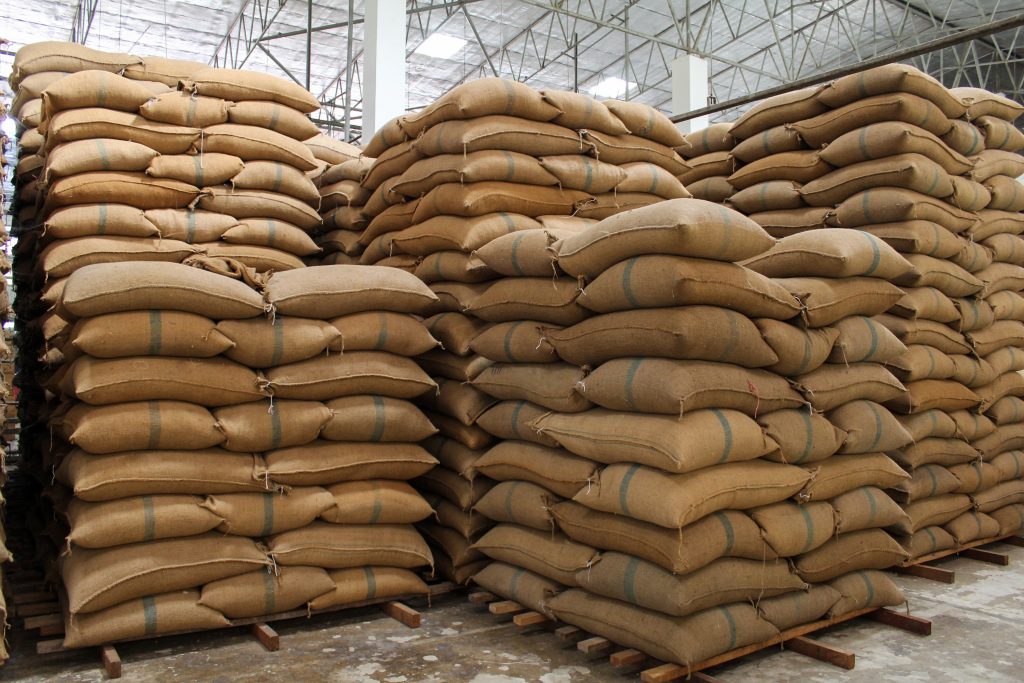 Quais os principais erros que você deve evitar na estocagem de sementes?