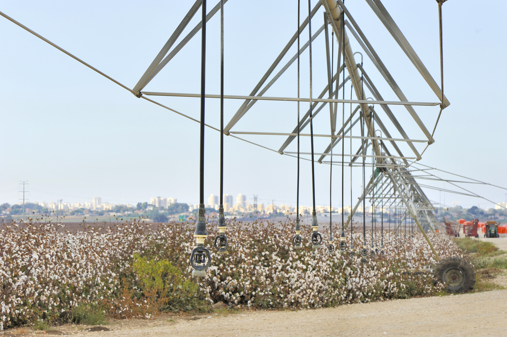 Todos os segredos do manejo de irrigação para algodão