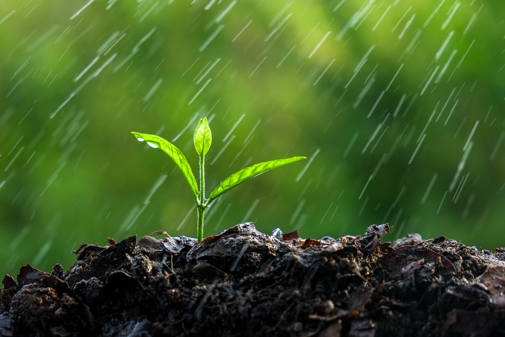Ferramenta de previsão do tempo ajuda a melhorar produção