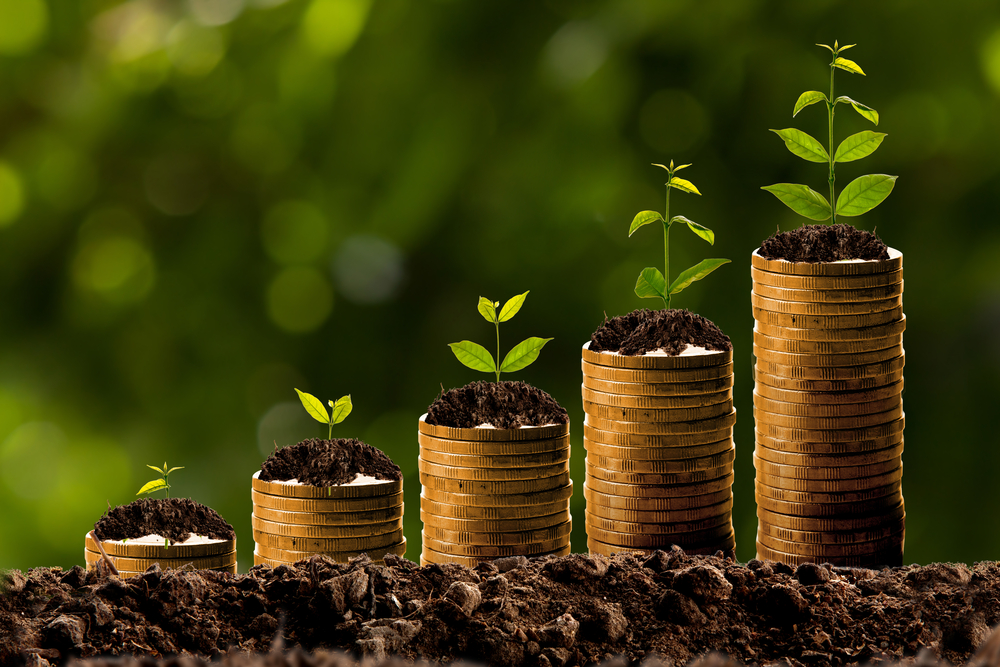 Maior lucratividade é um dos benefícios da fazenda sustentável. Saiba como alcançar mais ganhos