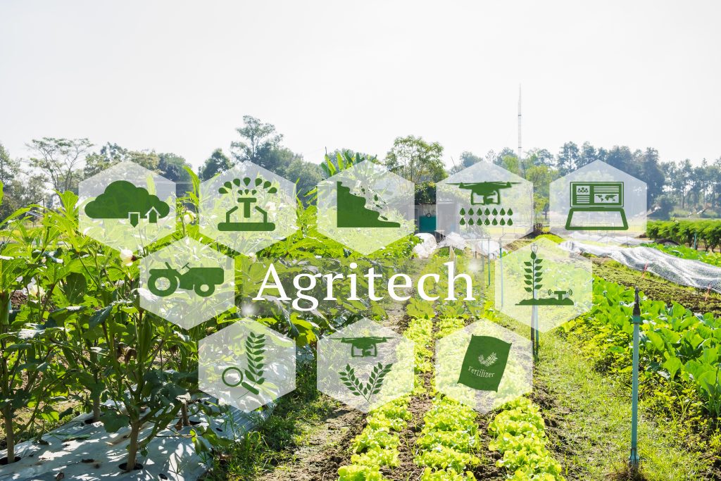 Como melhorar desempenho da pecuária usando Big Data?