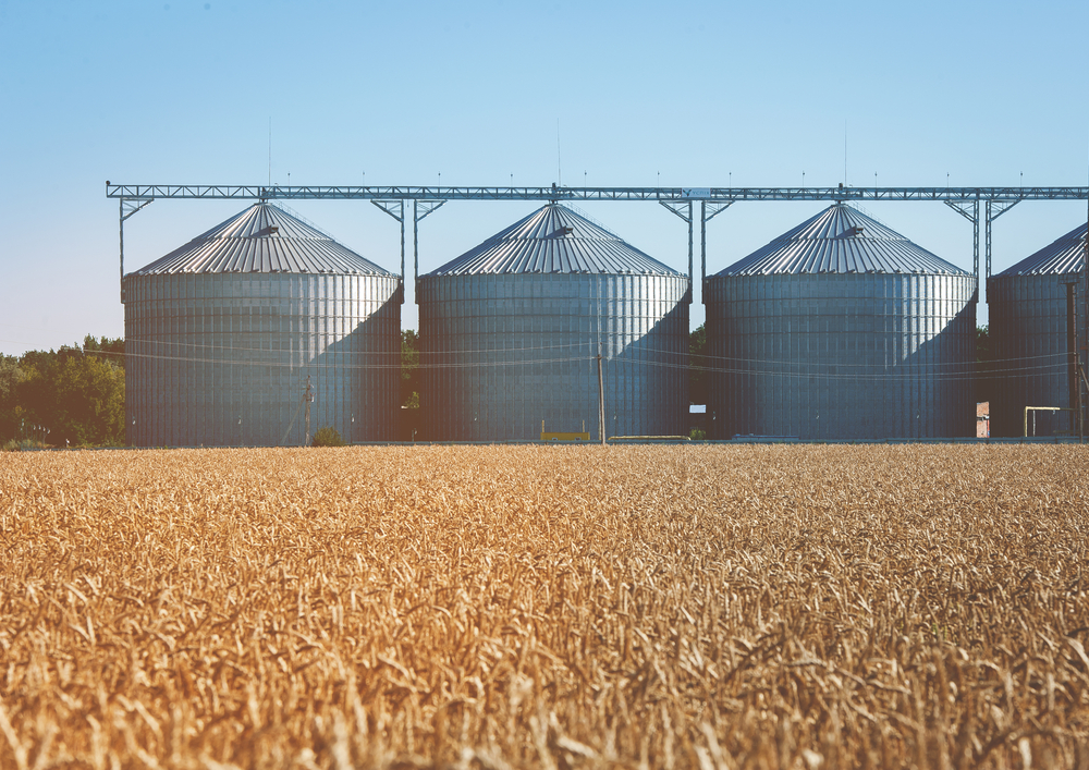Melhore sua equação lucro x armazenamento em silos