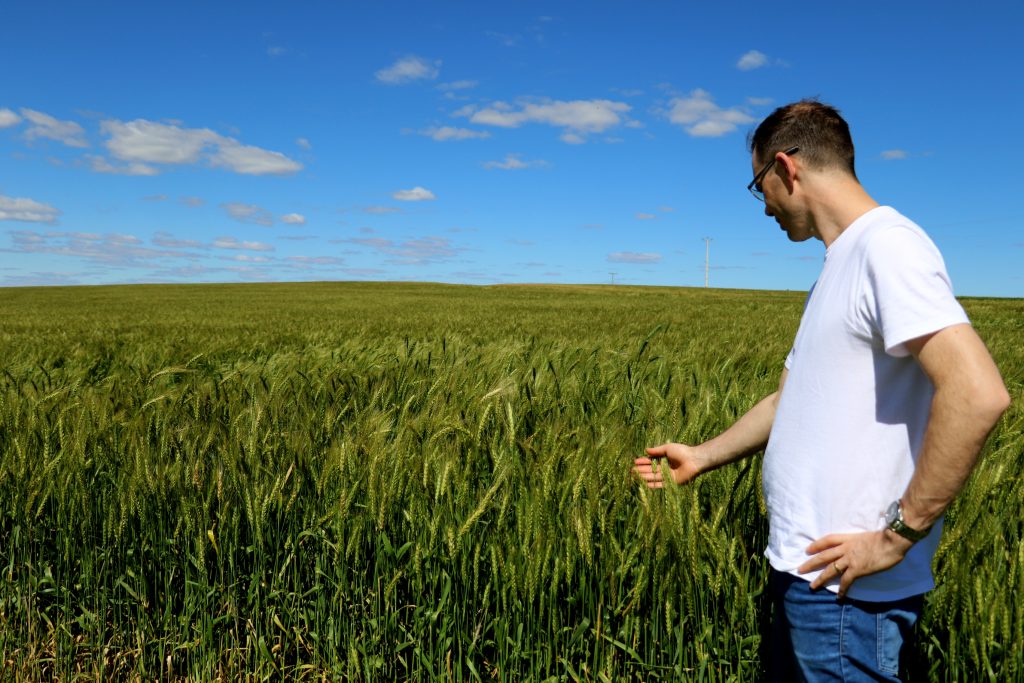 Passo a passo para uma boa rotação de culturas: o que é preciso?