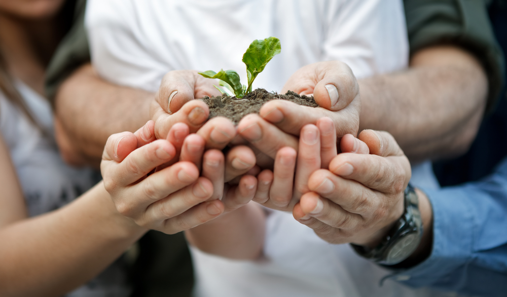 Veja como fazer a transição de gestão familiar para governança corporativa