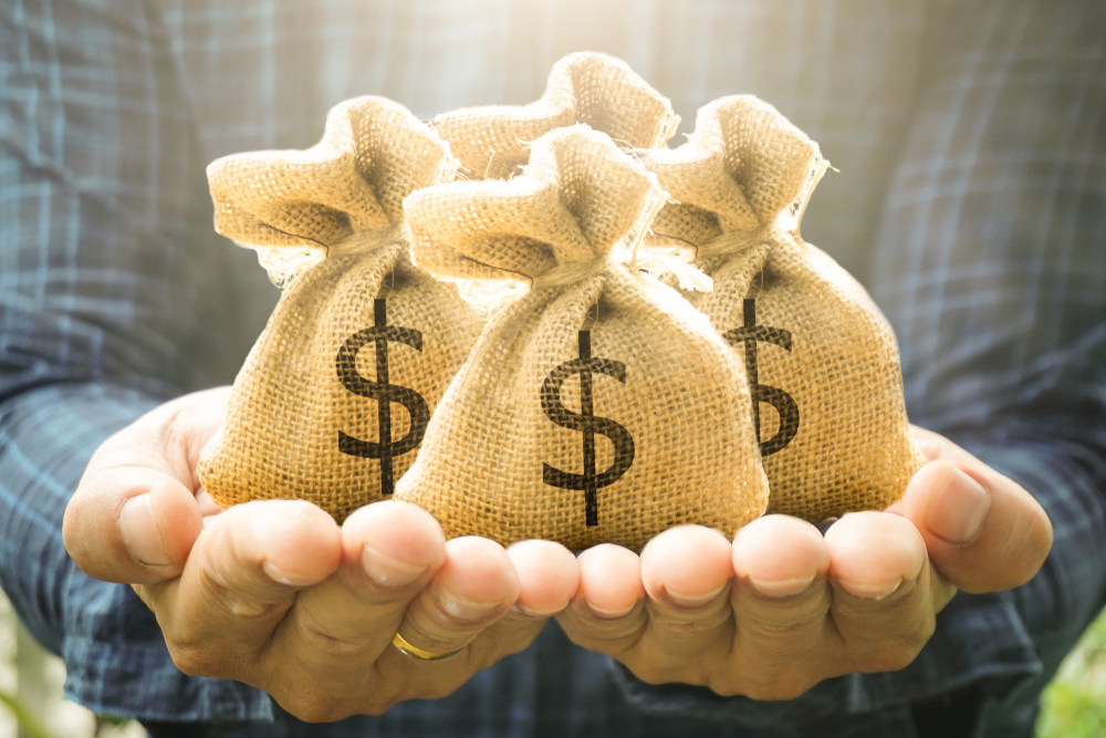 9 linhas de financiamento do Plano Safra 19/20 para você acessar o crédito rural