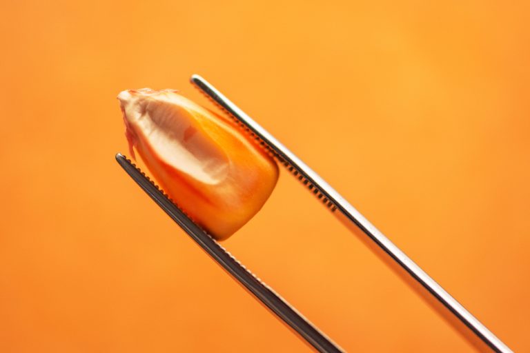 Como funciona o tratamento de sementes?