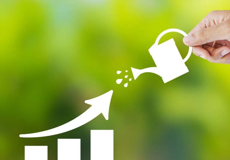 Confira todos os benefícios do cultivo rotativo