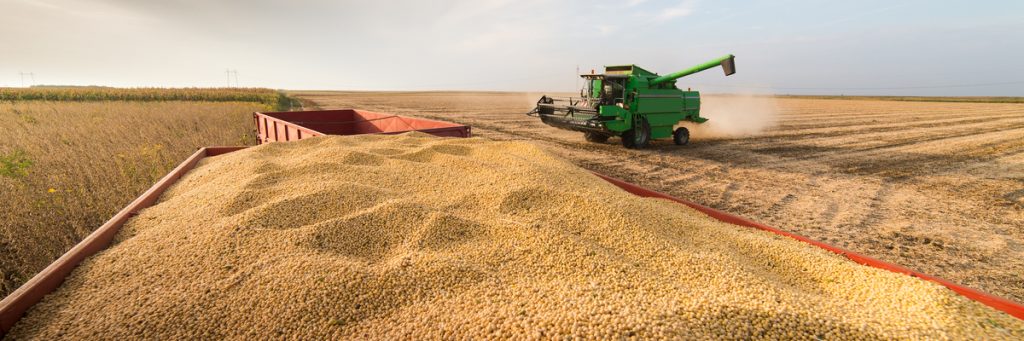 COLHEITA MECANIZADA