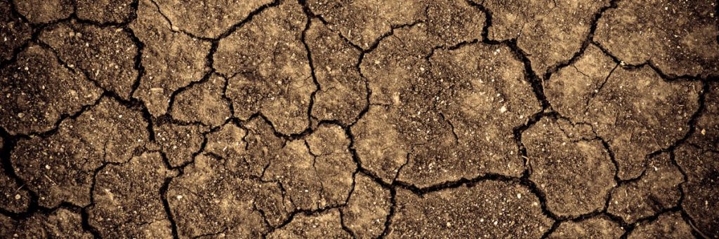 Degradação do Solo