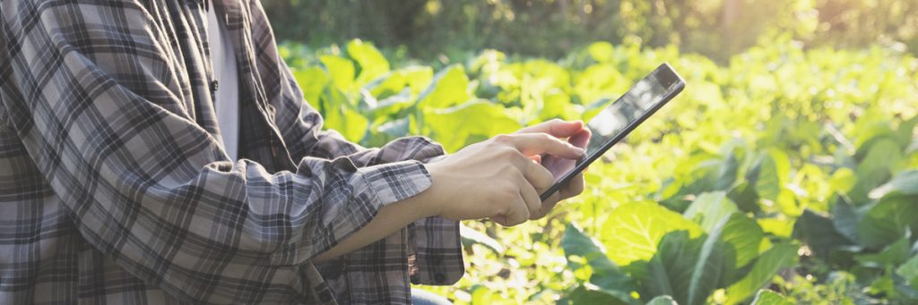 Aplicativos para agronegócios