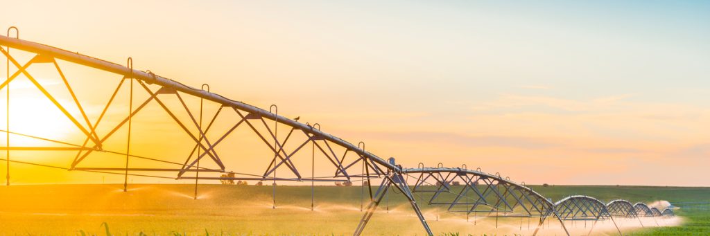 MANEJO DE IRRIGAÇÃO