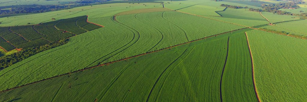 Agronegócio em Matopiba