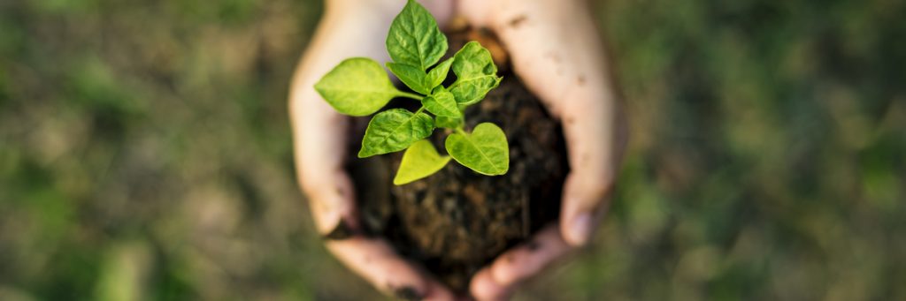 Sustentabilidade no agronegócio