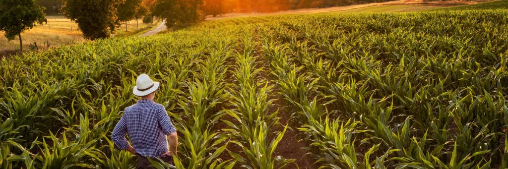 Hábitos do produtor rural