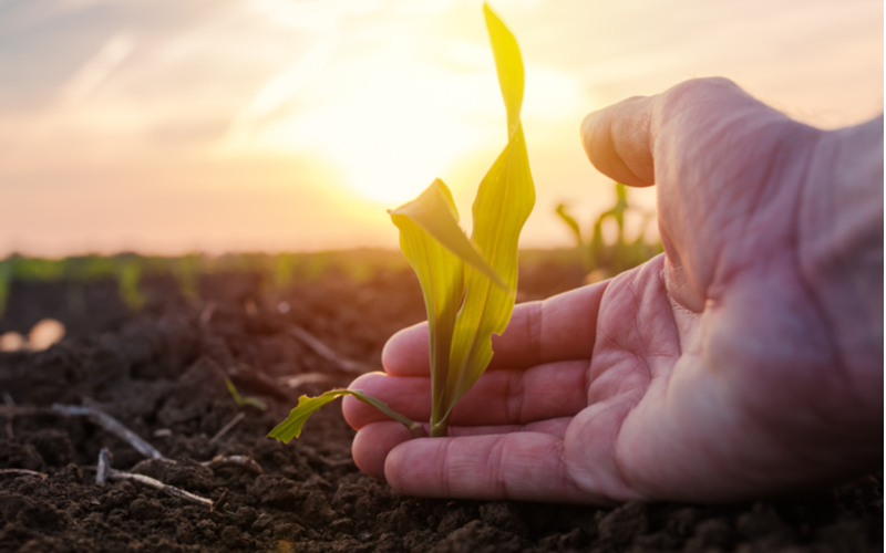 A verdadeira face do Agronegócio