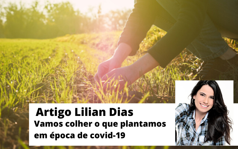 Brasil vai colher o que plantar em tempos de coronavírus