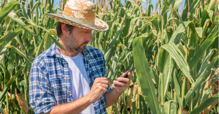 Evite prejuízos com plataforma de emissão de títulos agrícolas eletrônicos