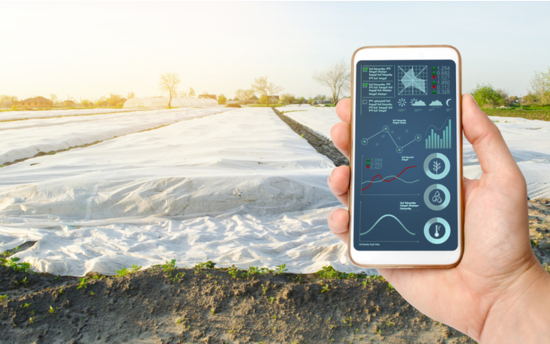 11 tecnologias da Embrapa que você encontra na Agrishow 2020