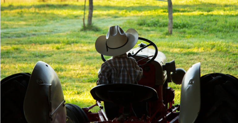 Desafios da sucessão familiar em propriedades rurais