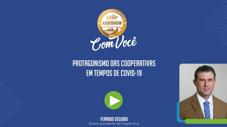 capa youtube (15).jpg