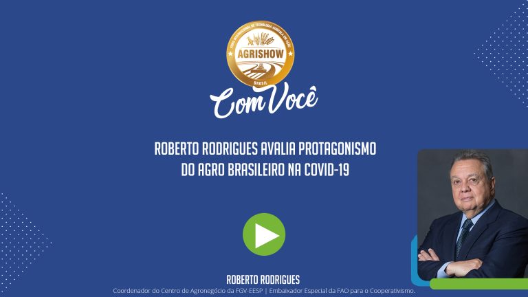 capa youtube (3) (2).jpg