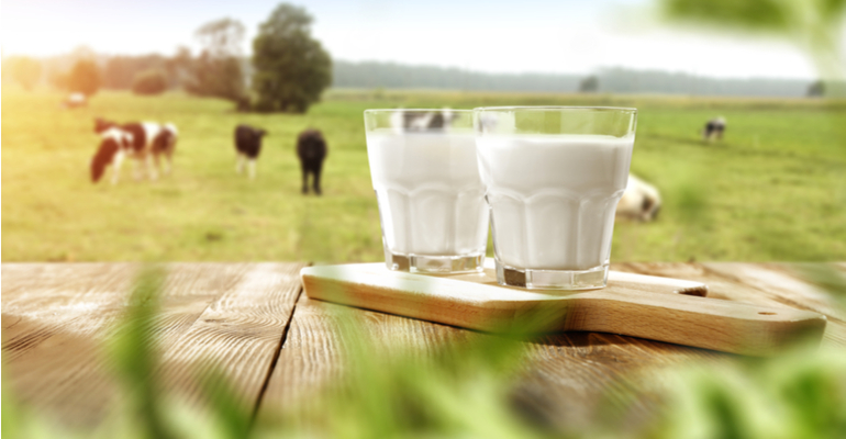 Novas soluções em ordenha e os robôs na produção leiteira