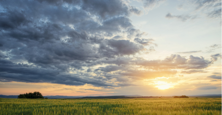 Depois da tempestade