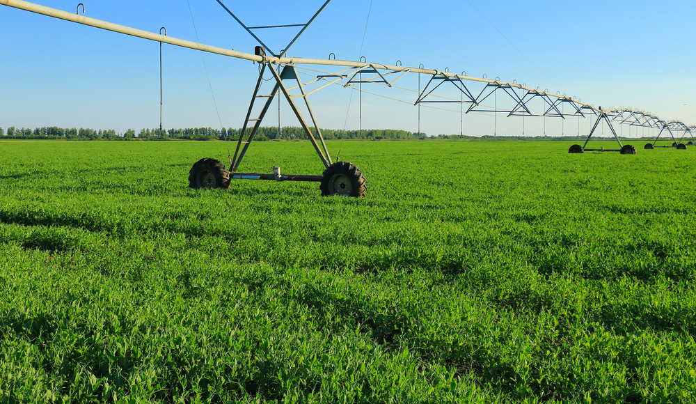 Sua plantação rende pouco? O problema pode estar no desequilíbrio de água