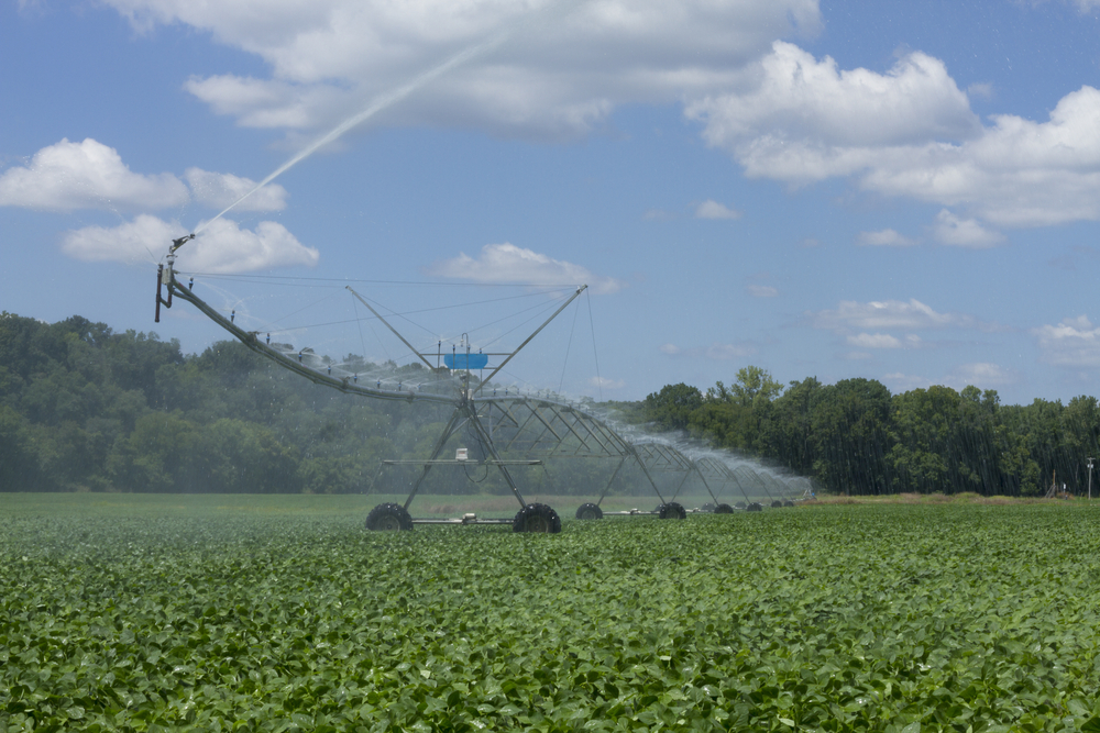 Irrigação: solução indispensável para alcançar altos níveis de produtividade