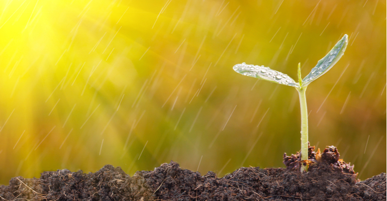 Aumente sua produtividade com inovações em insumos agrícolas