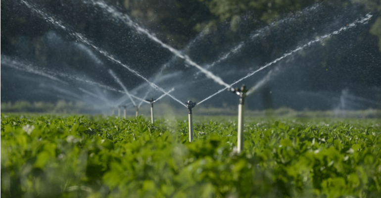 Como irrigação à distância e com precisão facilita o manejo da fazenda?