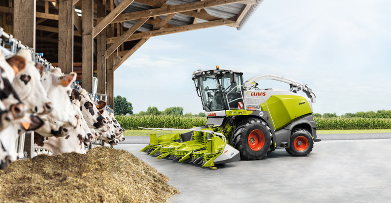 Mais leite, animais mais saudáveis