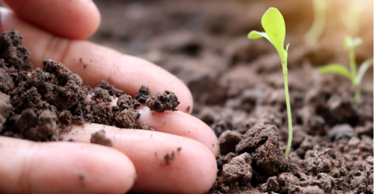 O campo mais próximo, o agronegócio mais forte