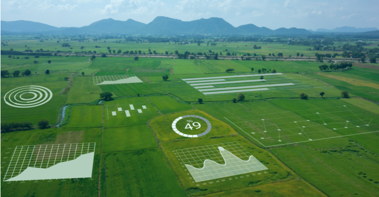 Opções para contornar a falta de conectividade no campo