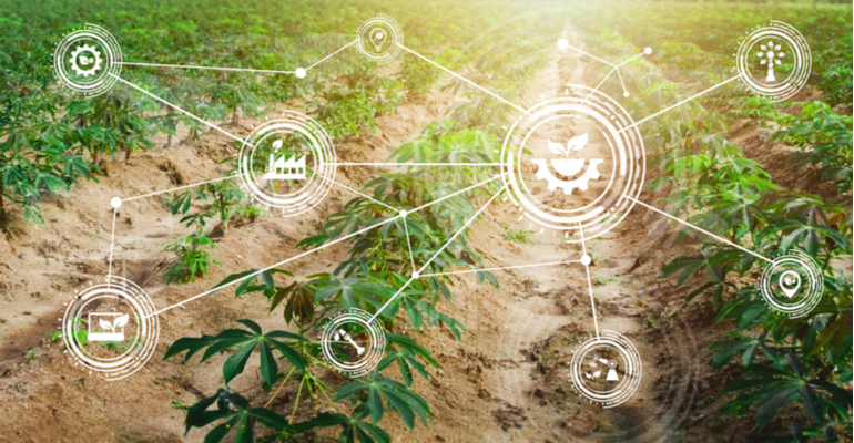 Quais os principais desafios da conectividade para o agro?