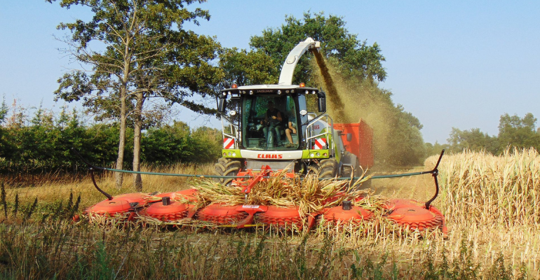 Quality silage doesn’t just happen