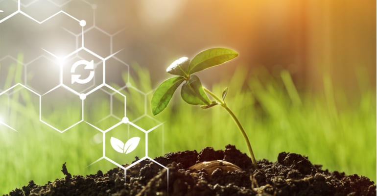 Tecnologia no campo: as inovações estão cada vez mais acessíveis aos produtores