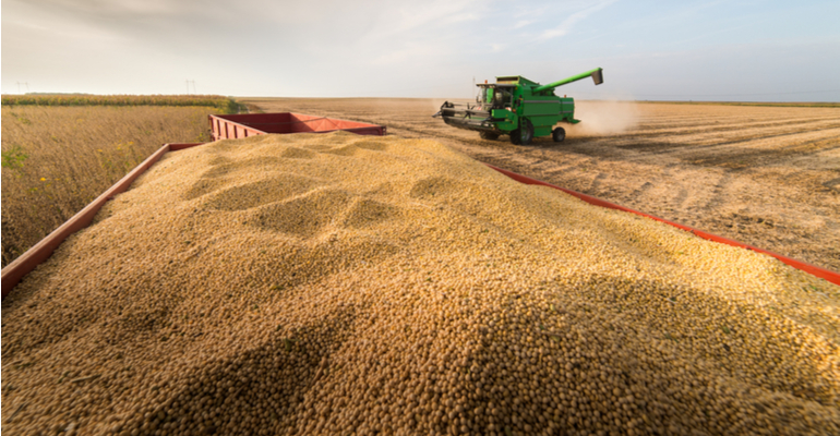 Desafios da Soja – Preço, Demanda e Clima