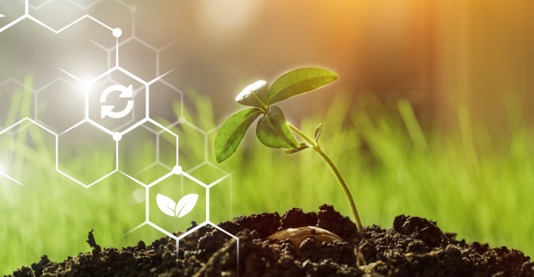 E-commerce e transformação digital: grandes aliados do agronegócio